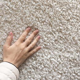 soft carpet east anglia