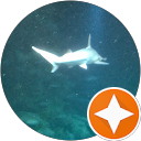 Avadayoff Foyster profile picture